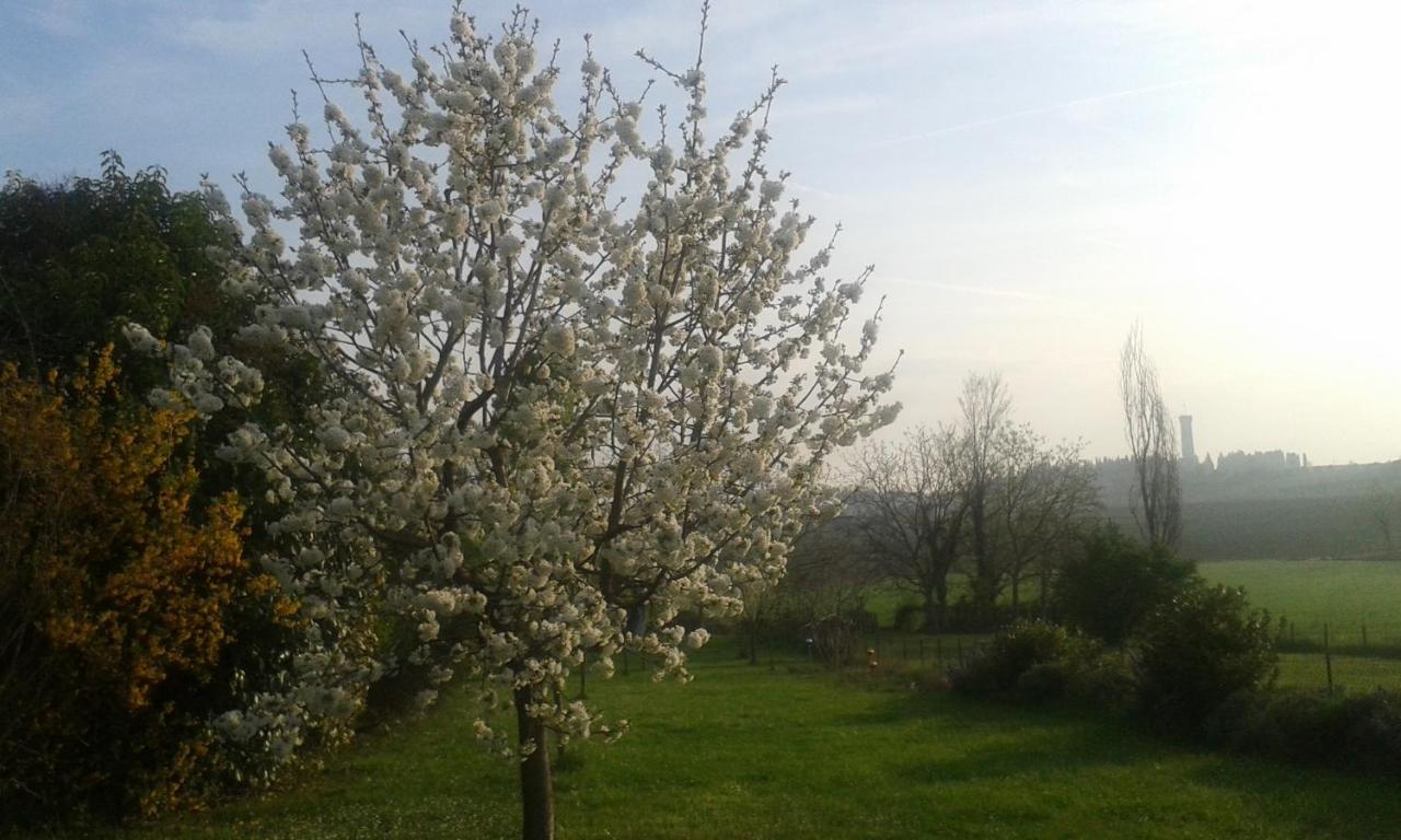 Monte Maino Bed & Breakfast Desenzano del Garda Exterior foto
